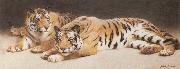 John Charles Dollman Two Wild Tigers oil painting artist